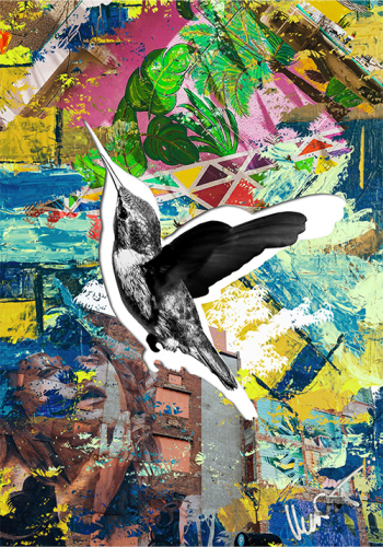 Bird MenzArt