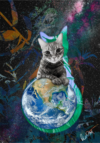 MenzArt Cat