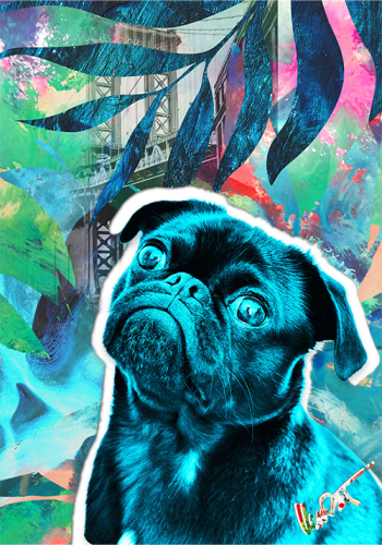 MenzArt Pug